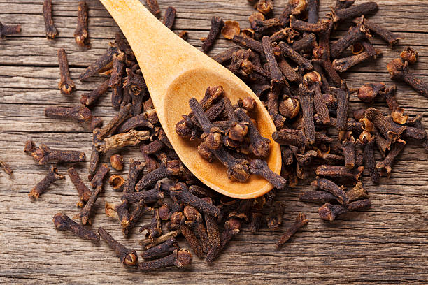 Clove (Syzygium aromaticum)